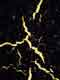 Gilded Black