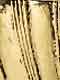 Antique Gold
