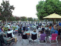 Concert10.JPG (53129 bytes)