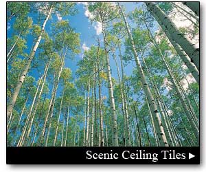 Scenic Ceiling Tile