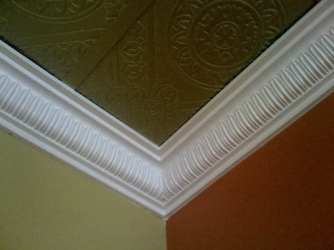 photo1