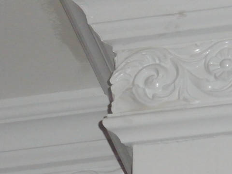 P5020244