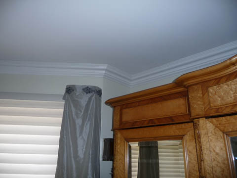 Picture 008