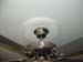 Ceiling medallions 003