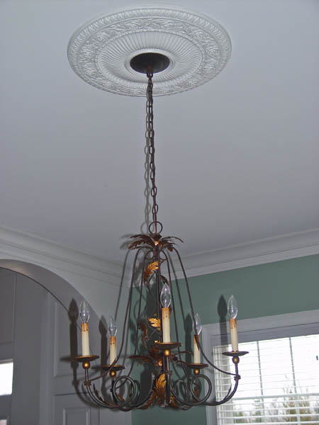 Ceiling Medallion & Chandelier