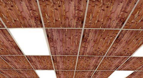 FullCeilingmed