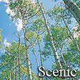 Scenic Ceiling Tiles