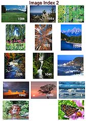 Scenic Index 2
