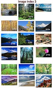 Scenic Index 3