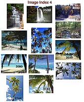 Scenic Index 4
