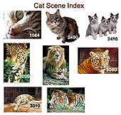 Scenic Index 8